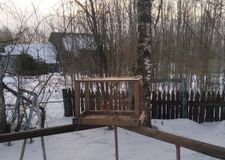 Гости на кормушке