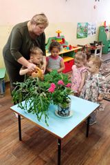 Комнатные растения