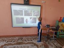 Окружающий мир . Тема "Нос".