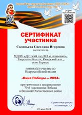 "Окно Победы" 2024г.