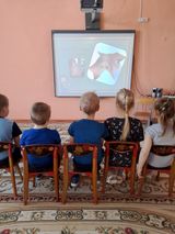 Окружающий мир . Тема "Нос".