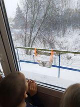 Наблюдение за птицами у кормушки