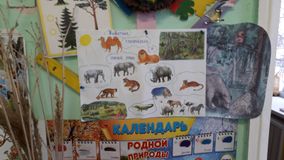 КТД "Животные тропических и южных стран"