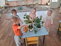 Младшая группа. "Уход за комнатными растениями"
