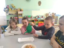 28.02. Мы сажаем лук