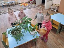 "Комнатные растения" 1я младшая группа