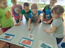 "Опасные предметы вокруг нас"