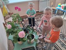 Младшая группа