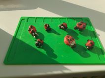 Средняя группа. Лепка "Божья коровка 🐞".