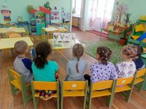 "Домашние питомцы. Птицы".