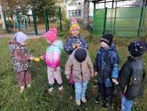 Наблюдение "Растут ли цветы на нашем участке?"