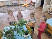"Комнатные растения" 1я младшая группа