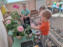 Младшая группа