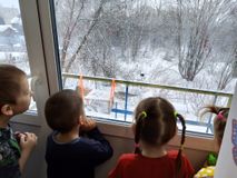 Наблюдение за птицами у кормушки