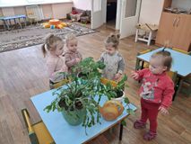 "Комнатные растения" 1я младшая группа