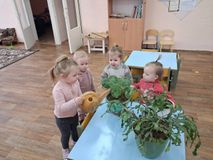 "Комнатные растения" 1я младшая группа