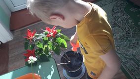 Дежурство в уголке природы