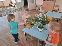 Младшая группа. "Уход за комнатными растениями"