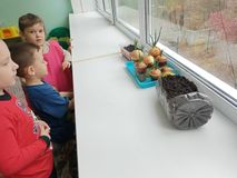 Средняя группа