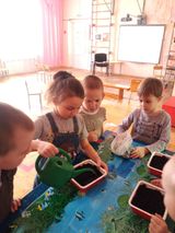 Поливаем наши посадки