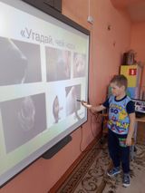 Окружающий мир . Тема "Нос".
