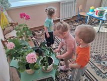Младшая группа